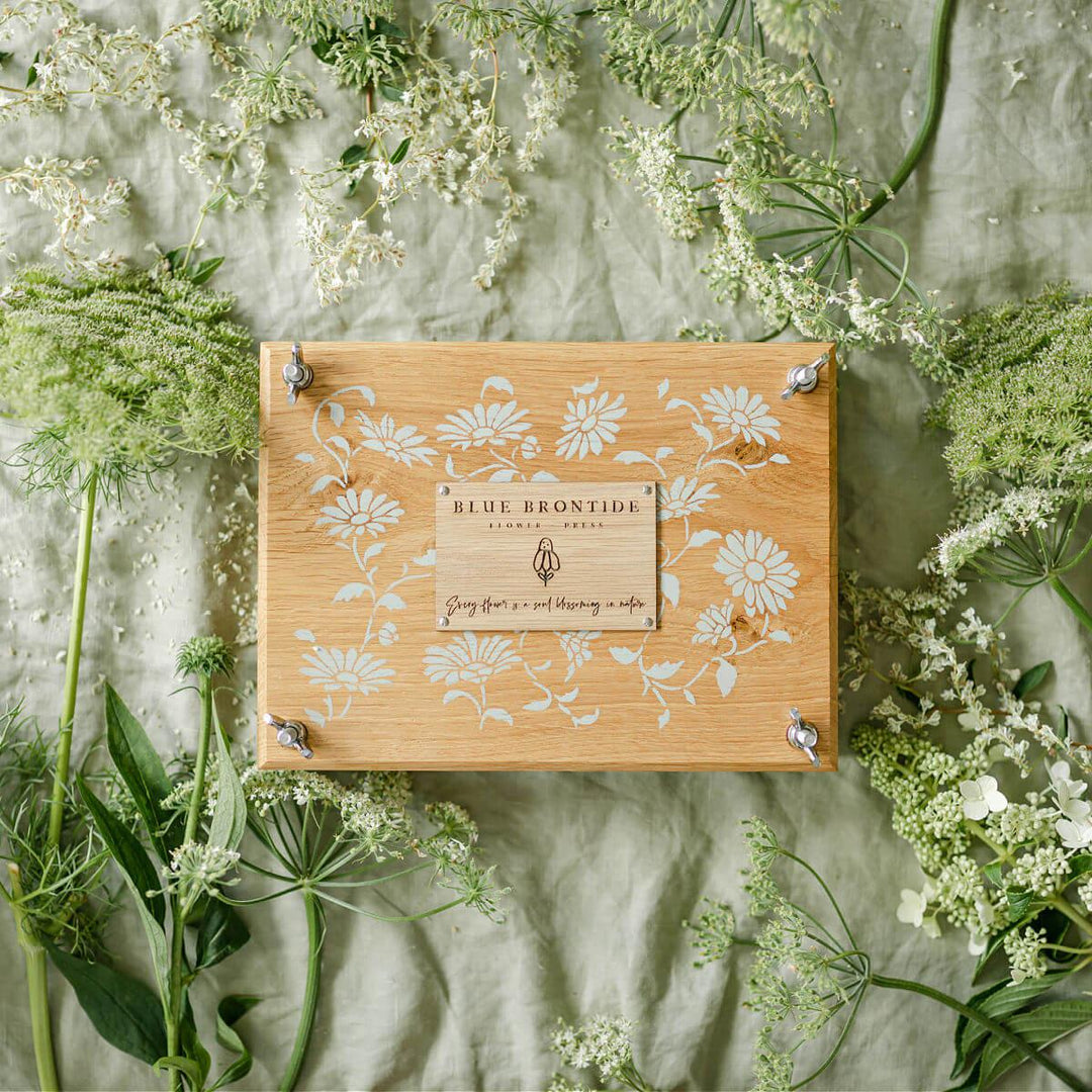 Wooden Flower Press Daisy Chain Blue Brontide
