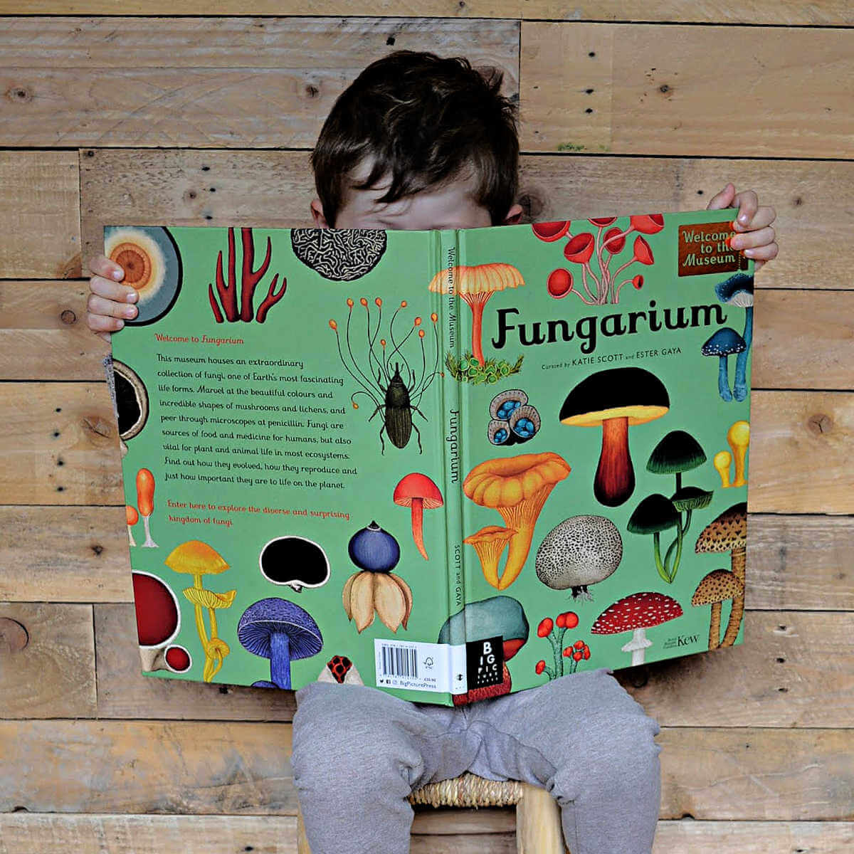 fungarium big book of fungi by Katie scott