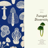 fungarium children's book by katie scott and ester gaya