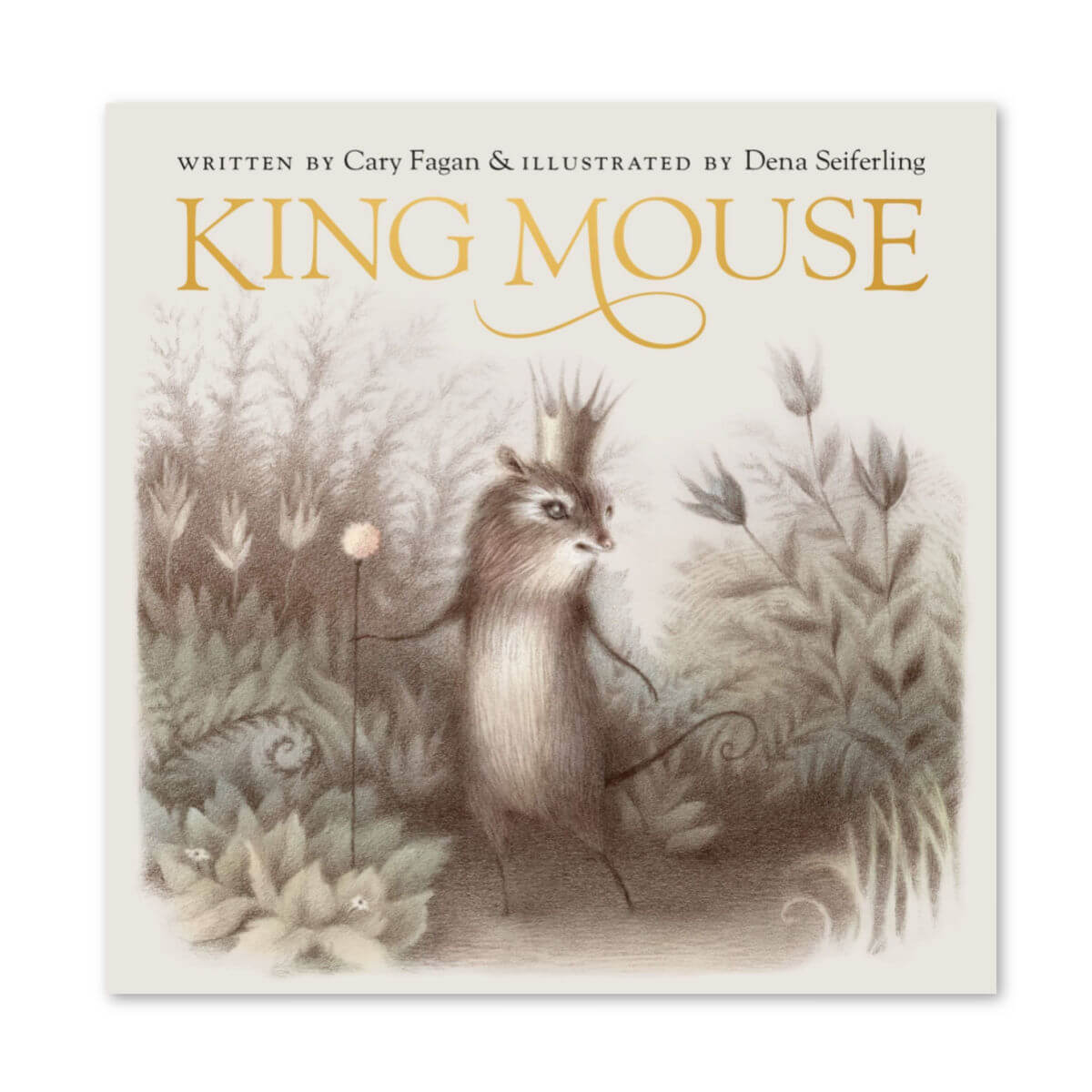 king mouse children's bok by cary fagen illustrated by dena seiferling at blue brontide UK