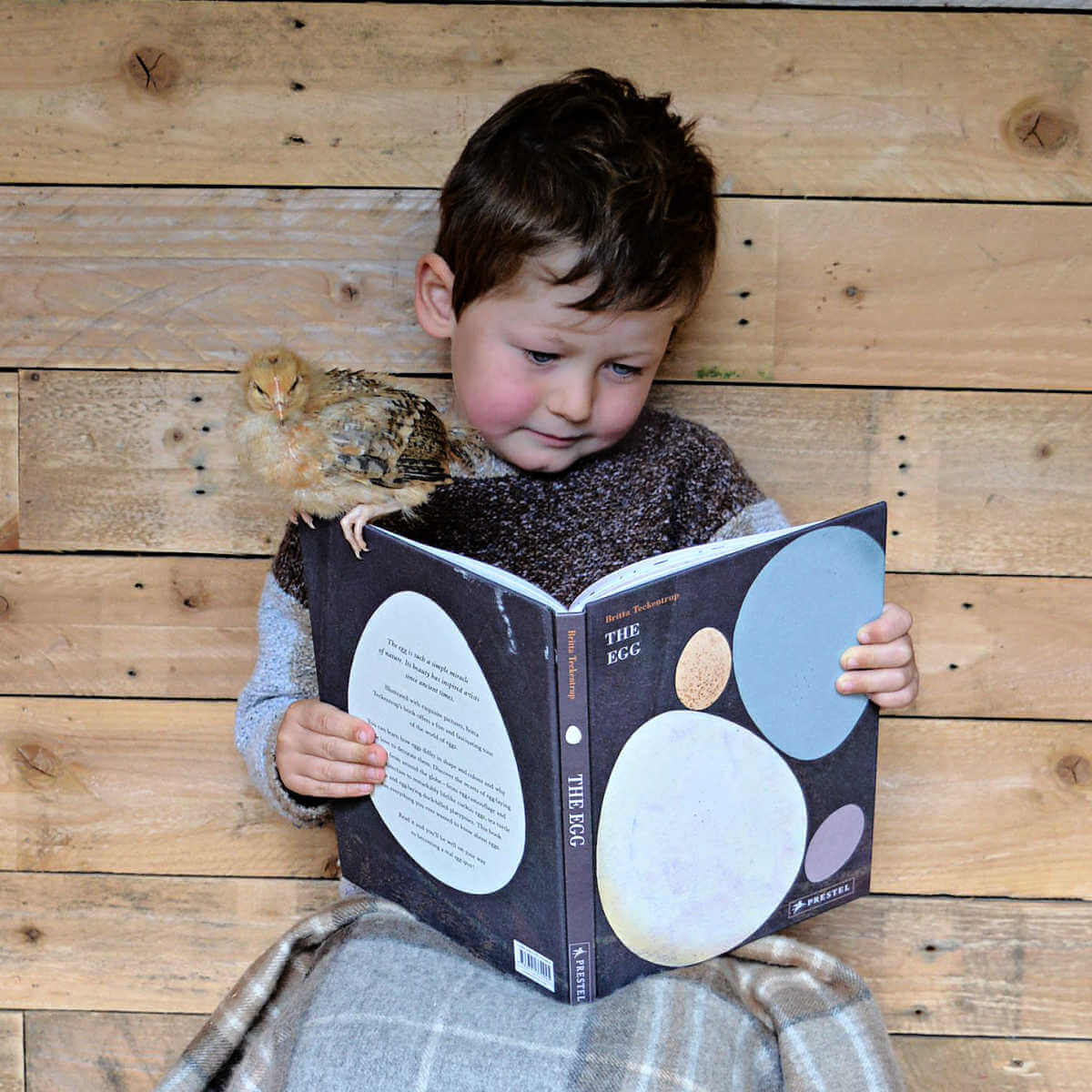 The egg children's book by britta teckentrup