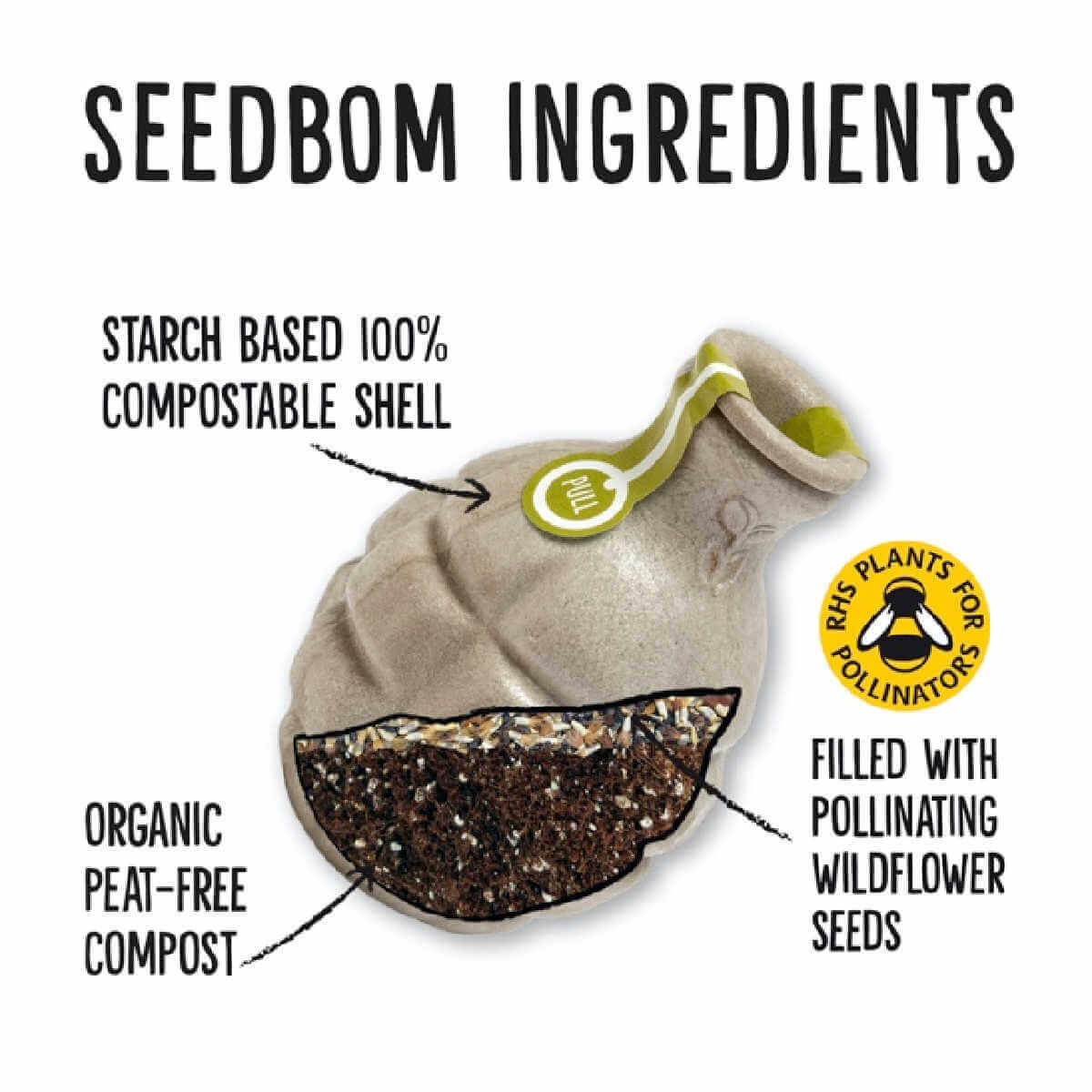 Kabloom limited edition the shew with the flu seedbom at bluebrontide UK